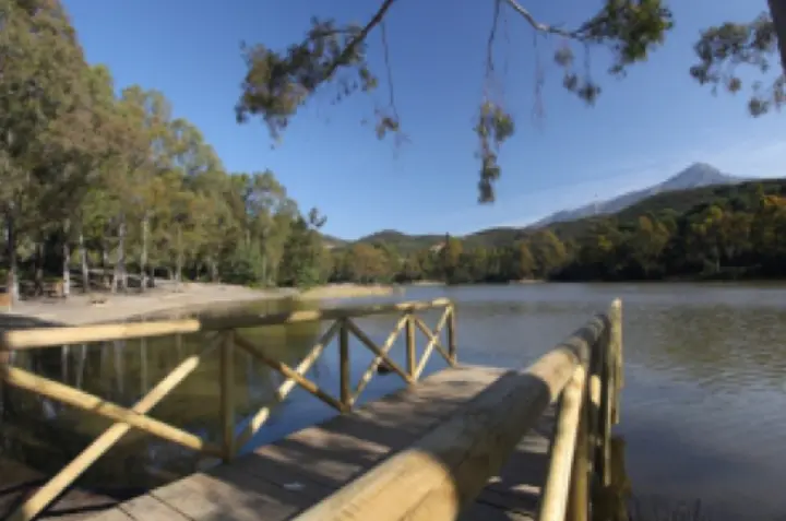 Lago de las Tortugas