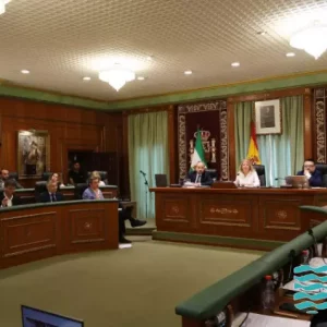 Vox, PP y PSOE aprueban en Marbella una moción para erradicar manteros