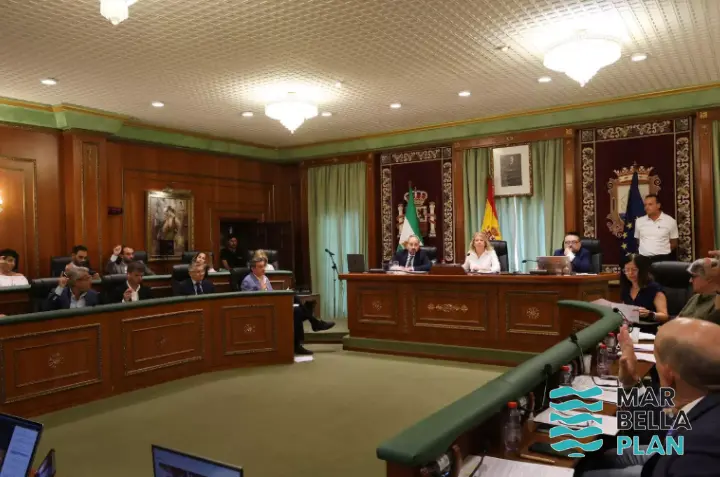 Vox, PP y PSOE aprueban en Marbella una moción para erradicar manteros